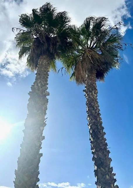 Marbella Nikkibeachfront Studio
